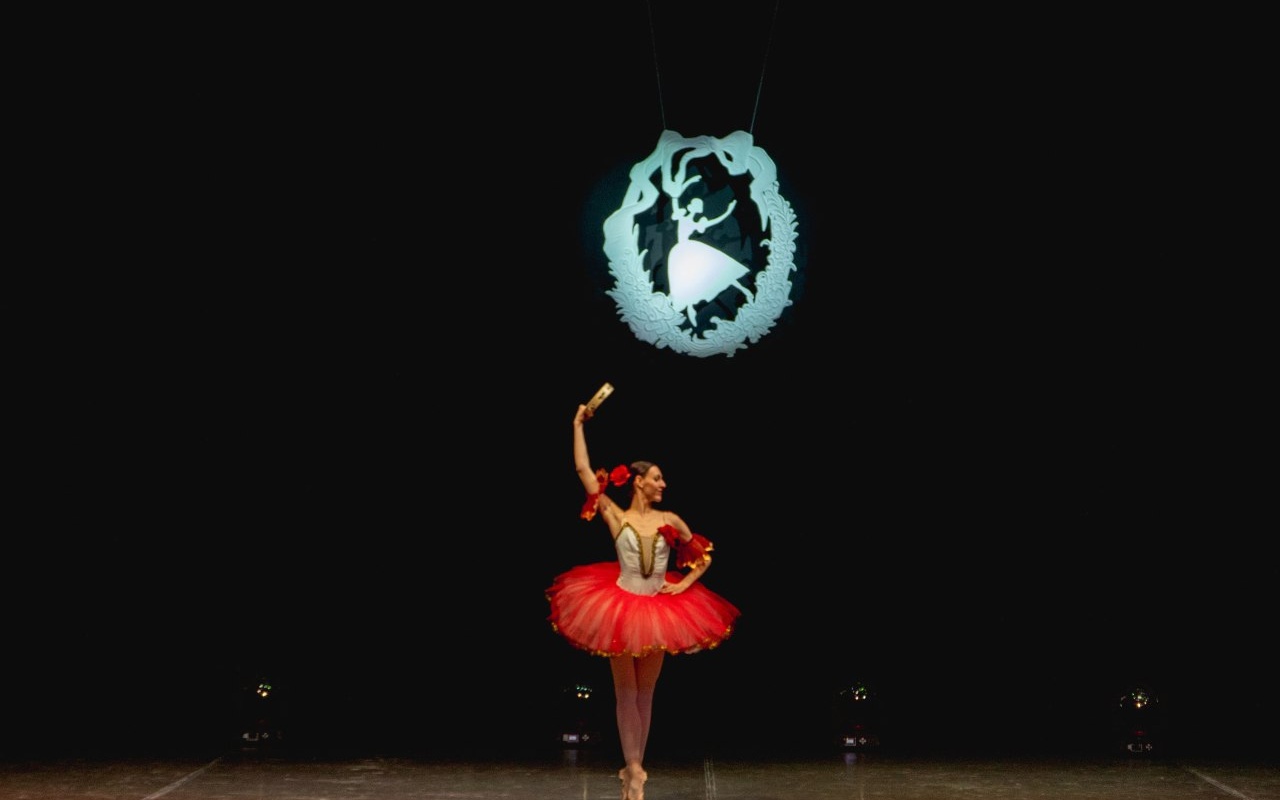 ВЕЧЕР БАЛЕТА